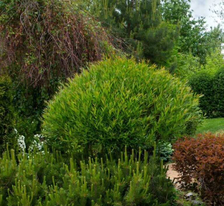 Sustainable Landscaping Materials for Eco-Friendly Design