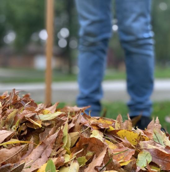 Essential Yard Cleaning Tips for a Clean and Beautiful Outdoor Space