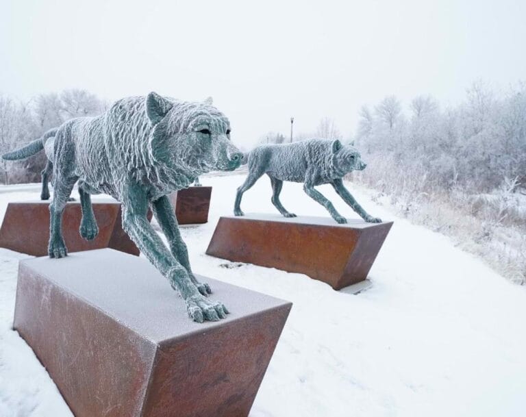 The Best Area to Stay in Winnipeg: A Complete Travel Guide