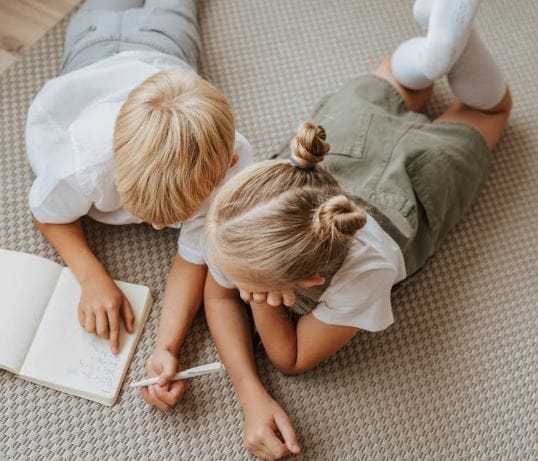 How to Choose the Right Carpet Solution: A Full Guide