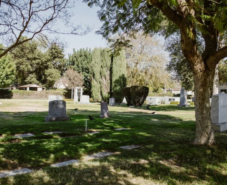 Essential Steps for Stress-Free Bereavement House Clearance