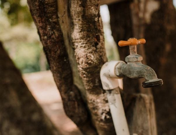 Eco-Friendly Plumbing Solutions for Sustainable Living