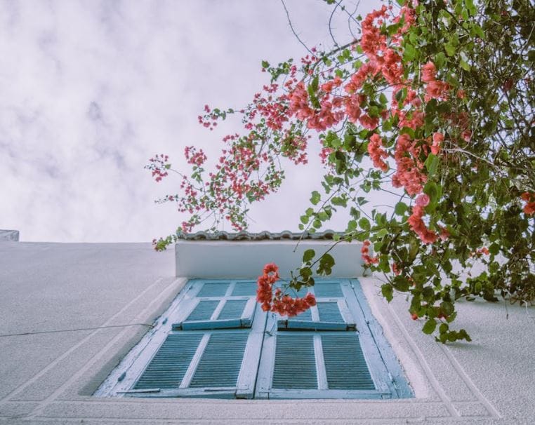 How to Make the Most of Your Budget in a Custom Home Project