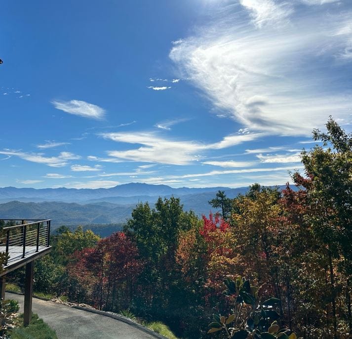 Cooking Up Memories: Ideas for a Holiday Family Dinner in the Smokies