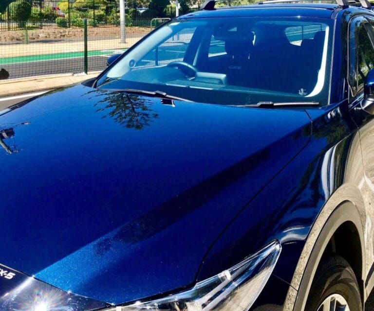 Can I Use Windex on My Car? The Surprising Truth