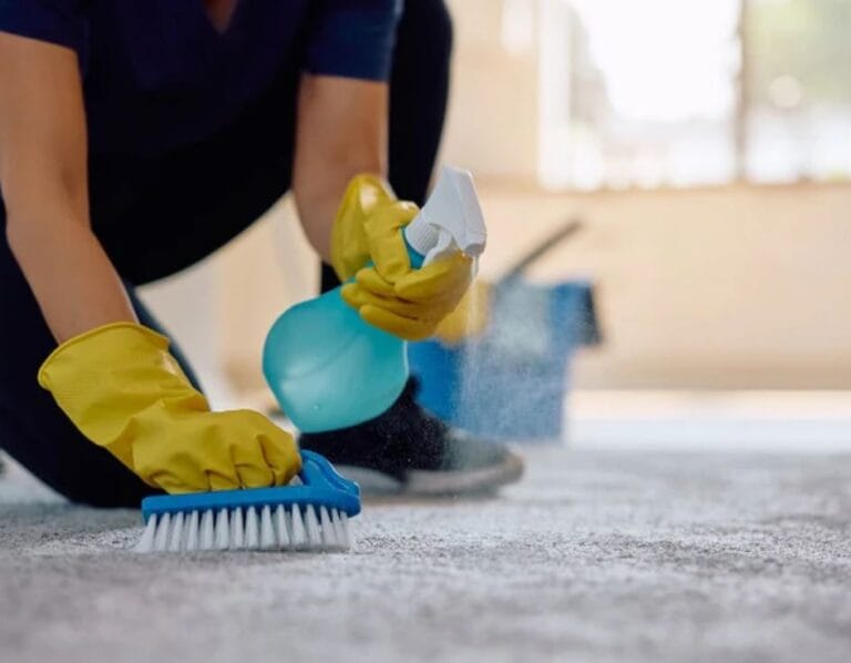 The Natural Clean: How to Clean Your Jute Rug with Vinegar (A Step-by-Step Guide)