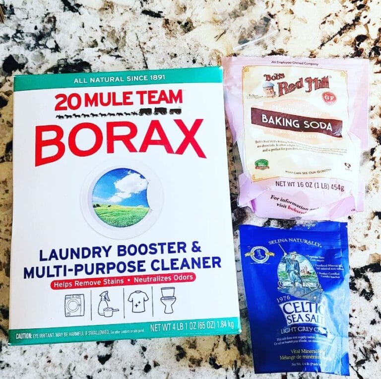 Borax and Silverfish: An Expert Guide to Effective Elimination