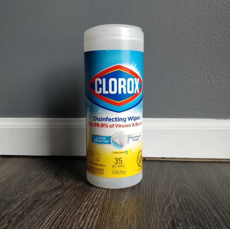 Can Clorox Kill Ants? The Surprising Truth and Smarter Solutions