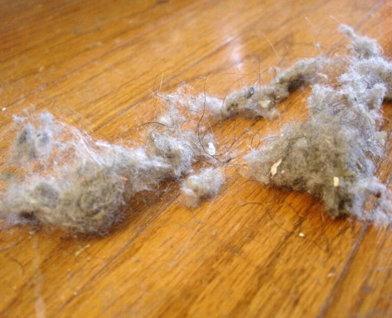 How to Make Dust (Intentionally or Not)