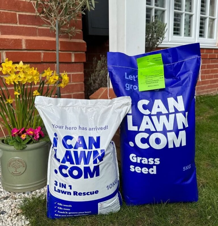 How Long Does Grass Seed Last In Storage? A Guide to Seed Storage and Viability