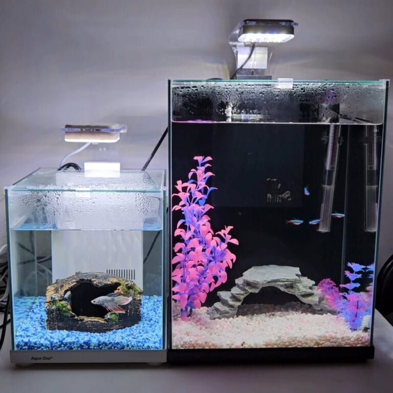 How Much Baking Soda to Raise pH in Aquarium? A Safe & Precise Guide
