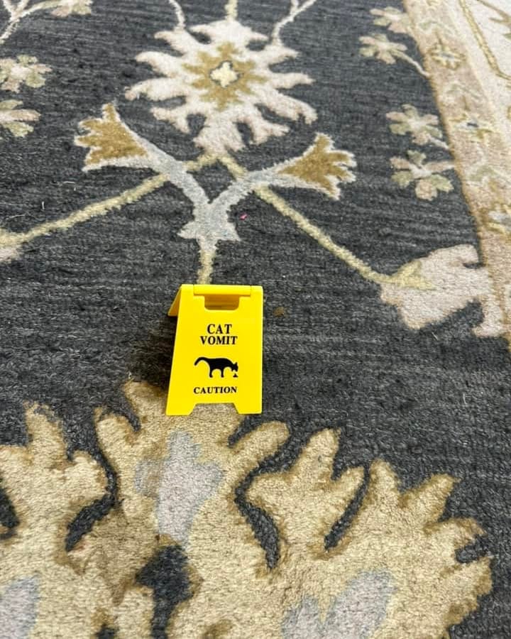 How To Get Dried Cat Vomit Out of Carpet?
