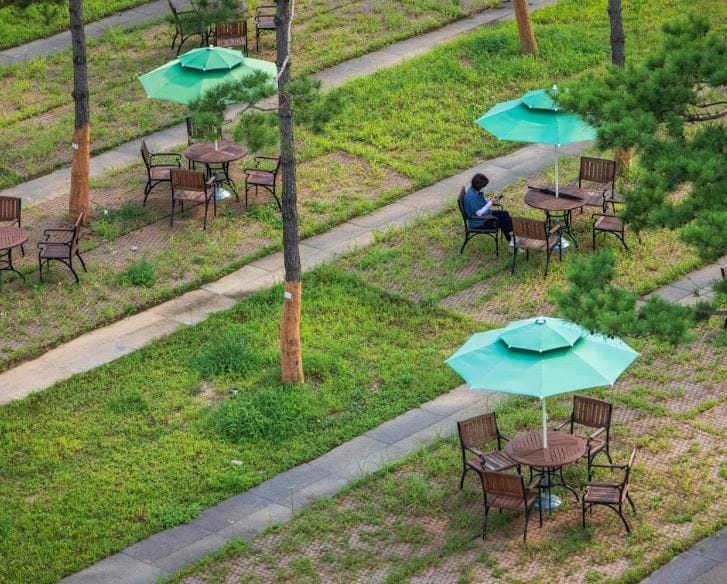 What Experts Recommend for Maintaining Weed-Free Outdoor Spaces