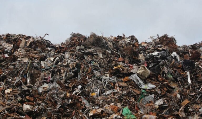 Is Your Company’s Waste Policy Costing You Money