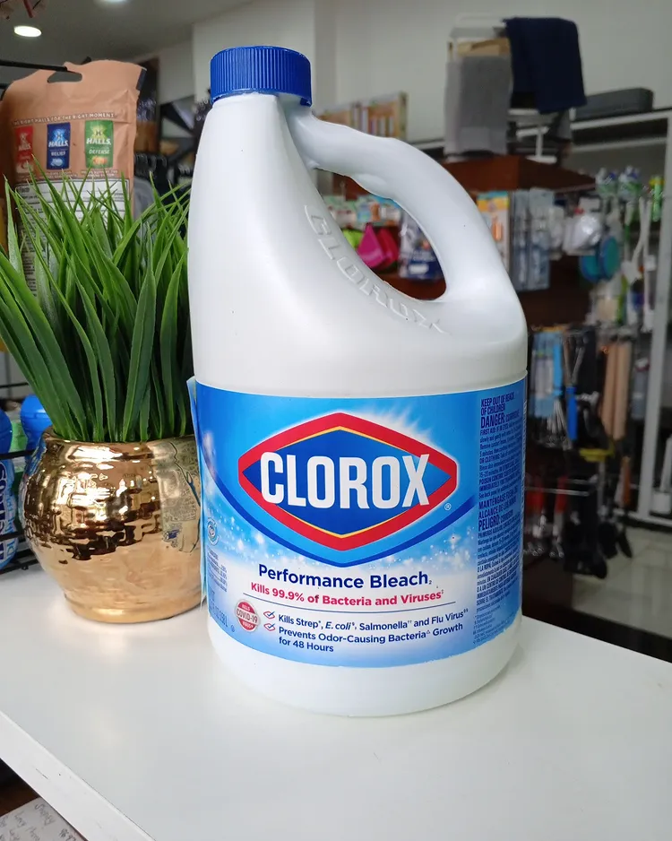 Will Clorox Kill Cockroaches? The Truth You Need to Know