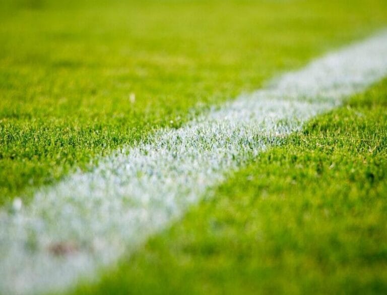 How Artificial Grass Reduces Home Maintenance Efforts