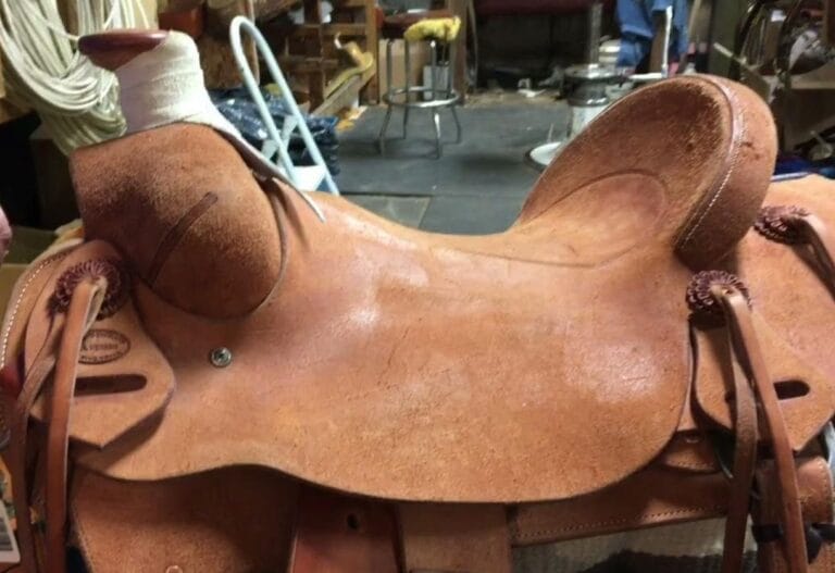 The Complete Guide to Cleaning a Rough Out Saddle: Preserve Grip & Longevity