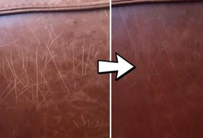 How to Fix Dog Scratches on Leather Couch: A Complete Guide