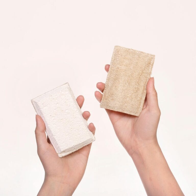 How to Clean a Natural Sea Sponge: A Complete Guide for Longevity & Hygiene