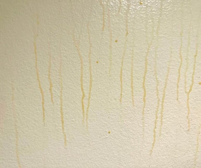 How to Clean Yellow Drips on Bathroom Walls: A Complete Guide