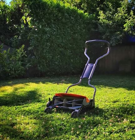 Expert Tips for Maintaining a Lush Green Lawn