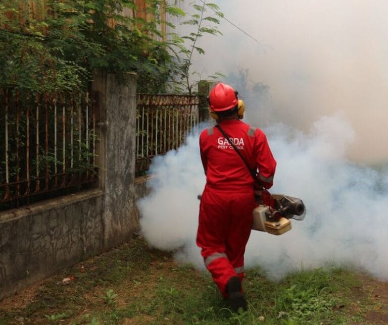 Understanding the Process behind Effective Pest Elimination