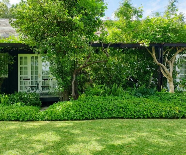 Smart Ways to Maintain Outdoor Areas Without Extra Effort
