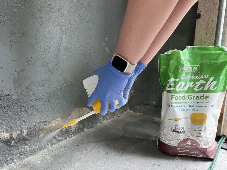 Diatomaceous Earth and Aphids: A Comprehensive Guide to Mechanical Pest Control