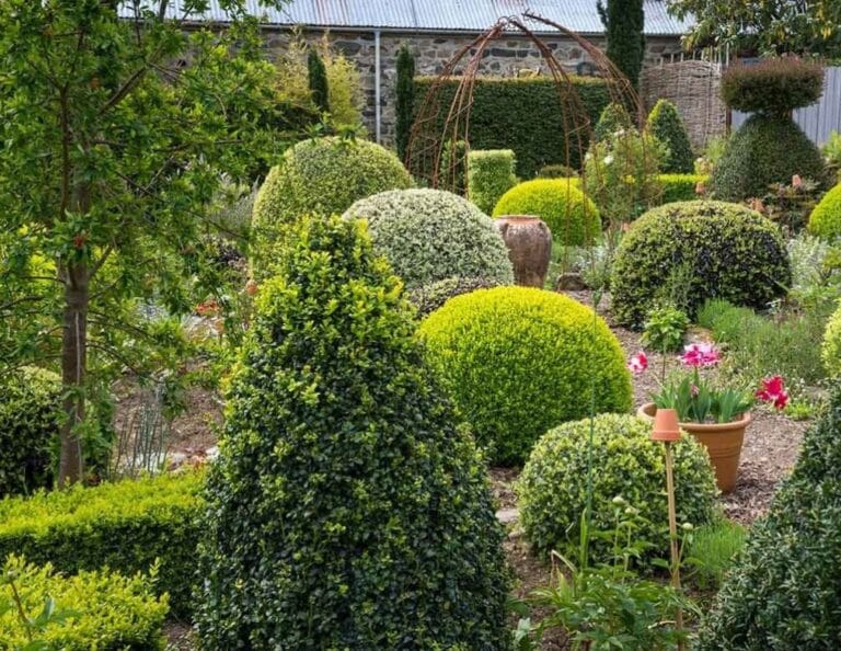 Wax-Producing Aphids on Shrubs in New Jersey: An In-Depth Guide for Homeowners and Professionals