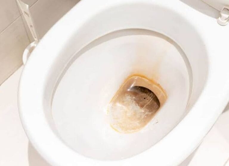 The Definitive Guide to Removing Rust Stains from Your Toilet Bowl