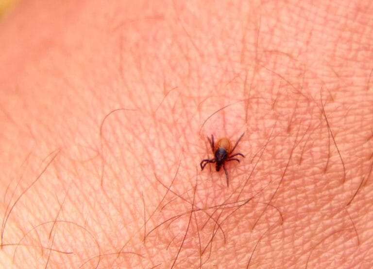 Does Sevin Dust Kill Chiggers? The Definitive Guide to Yard Treatment